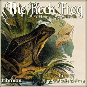 Rock Frog