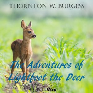 Adventures of Lightfoot the Deer (Version 2)