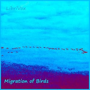 Migration of Birds