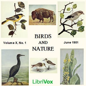 Birds and Nature, Vol. X, No 1, June 1901