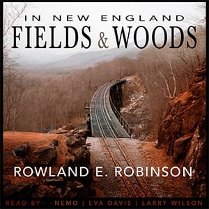 In New England Fields and Woods