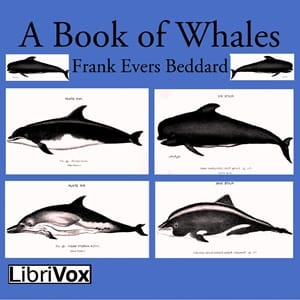 Book of Whales