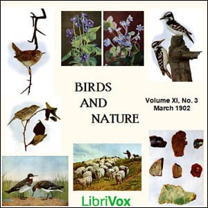 Birds and Nature, Vol. XI, No 3, March 1902