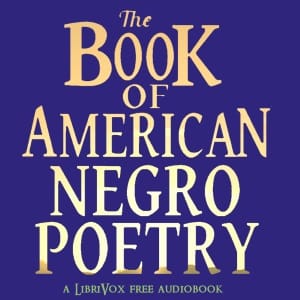 Book of American Negro Poetry