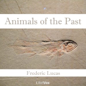 Animals of the Past