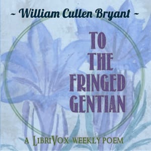 To The Fringed Gentian