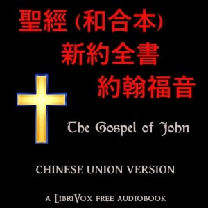 聖經 (和合本) 新約全書 – 約翰福音 (John)