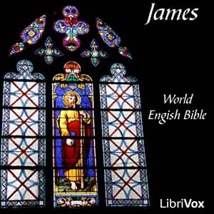 Bible (WEB) NT 20: James