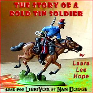 Story of a Bold Tin Soldier