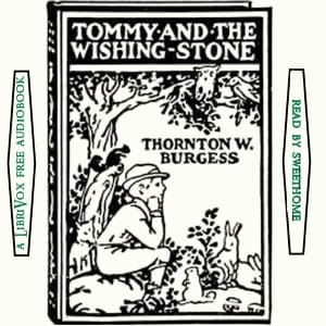 Tommy and the Wishing Stone