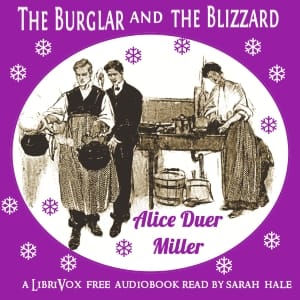 Burglar and the Blizzard