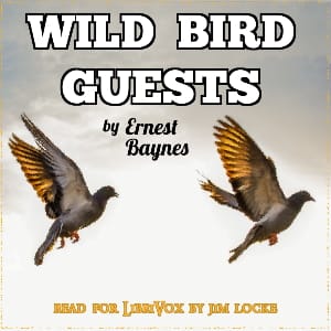 Wild Bird Guests