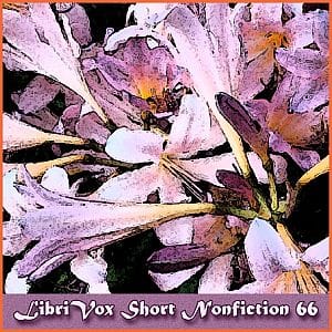 Short Nonfiction Collection, Vol. 066