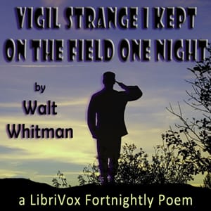Vigil Strange I Kept on the Field One Night