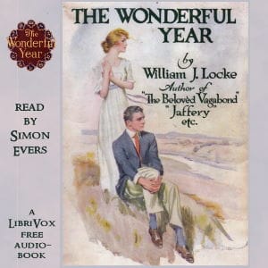 Wonderful Year