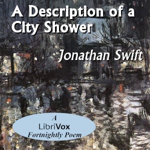 Description Of A City Shower