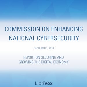 Report on Securing and Growing the Digital Economy