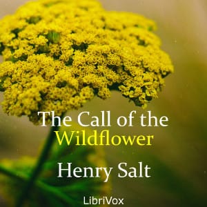 Call of the Wildflower