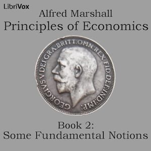 Principles of Economics, Book 2: Some Fundamental Notions