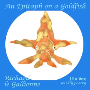 Epitaph On A Goldfish
