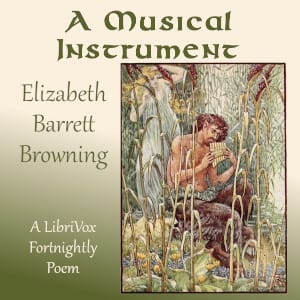 Musical Instrument