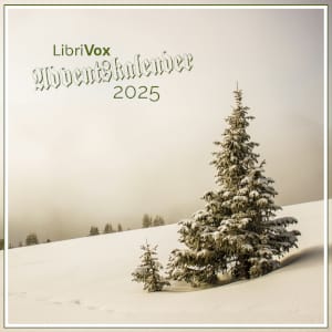 Adventskalender 2025