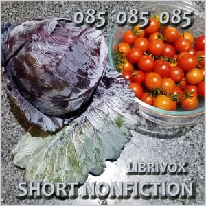 Short Nonfiction Collection, Vol. 085