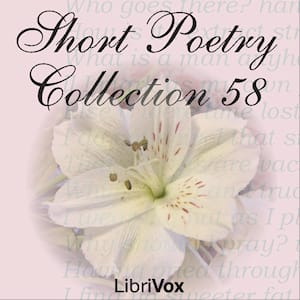Short Poetry Collection 058