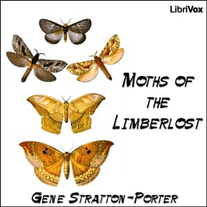 Moths of the Limberlost