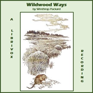 Wildwood Ways