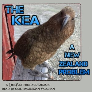 KEA: a New Zealand problem