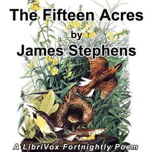 Fifteen Acres
