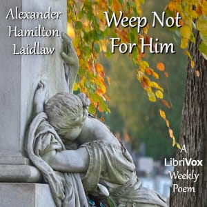Weep Not For Him