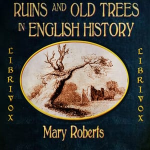 Ruins  and Old Trees