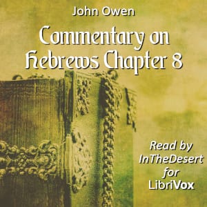 Commentary on Hebrews Chapter 8