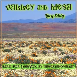 Valley and Mesa