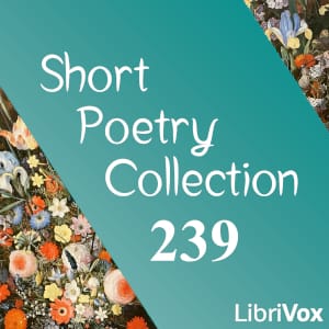 Short Poetry Collection 239