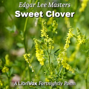 Sweet Clover