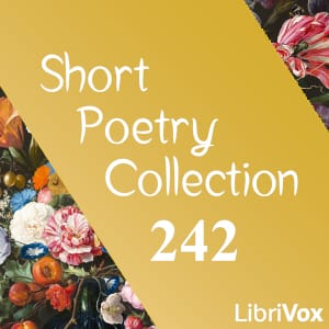 Short Poetry Collection 242