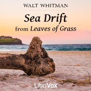 Sea Drift from Leaves of Grass