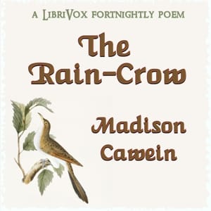 Rain-Crow