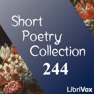 Short Poetry Collection 244