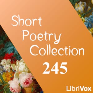 Short Poetry Collection 245