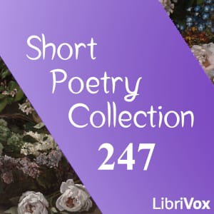 Short Poetry Collection 247