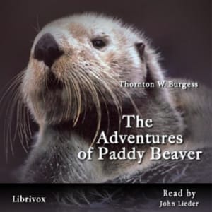Adventures of Paddy Beaver