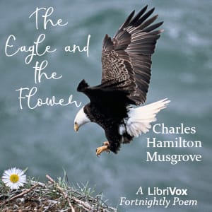 Eagle and the Flower