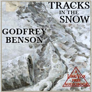 Tracks in the Snow