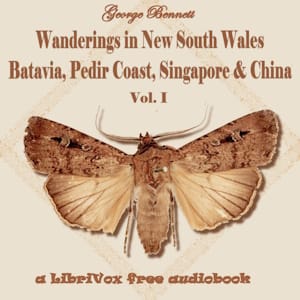 Wanderings in New South Wales, Batavia, Pedir Coast, Singapore, and China Vol. 1