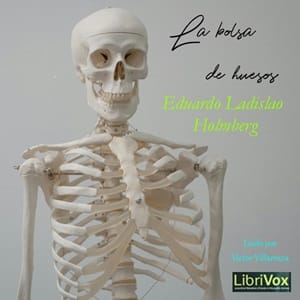 bolsa de huesos