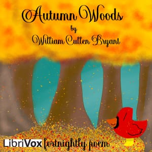 Autumn Woods